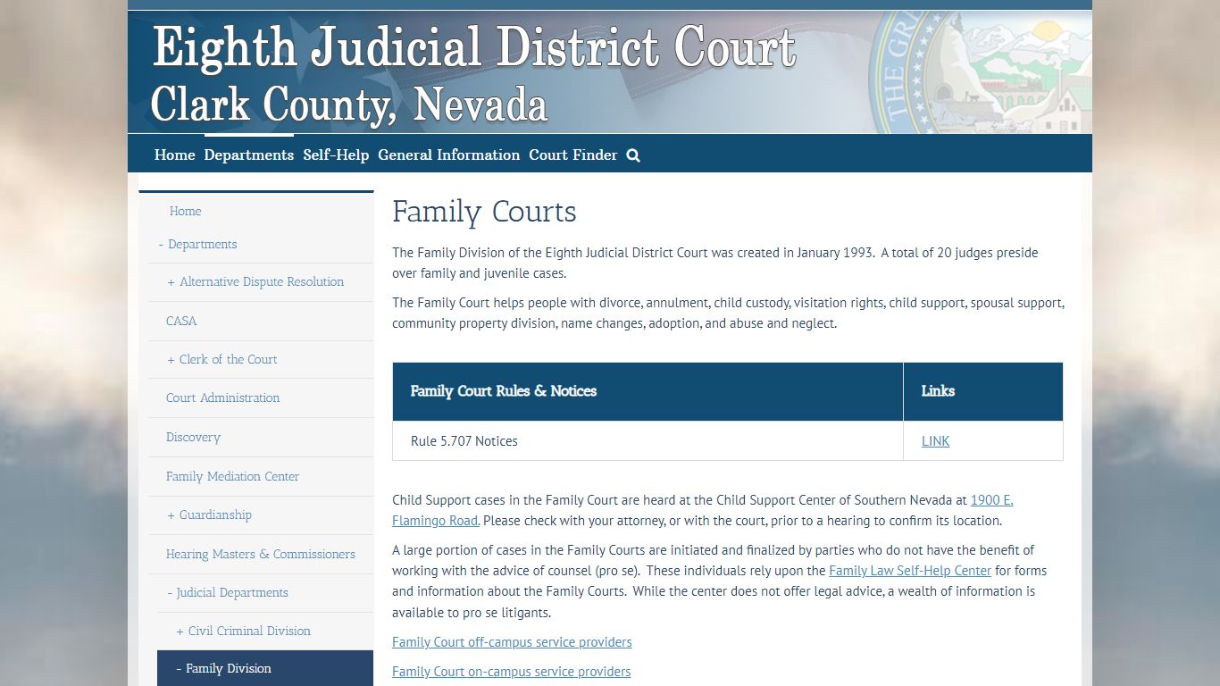 Family Division – Eighth Judicial District Court